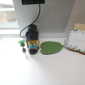 Cosy Appartement